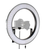 Lampe annulaire LED bicolore Falcon Eyes dimmable DVR-512DVC sur 230V