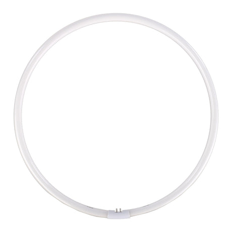 Lampe à tête de réserve des yeux Falcon pour FLC-55 55W