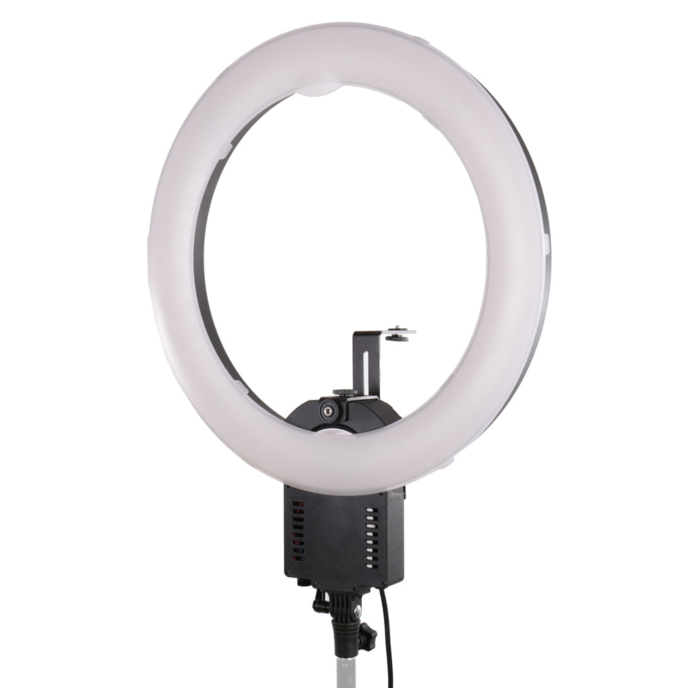 FALCON EYES LING LAMP FLC-65 65W + TMB-20Z