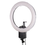 FALCON EYES LING LAMP FLC-65 65W + TMB-20Z