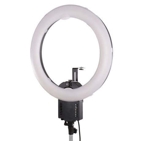 FALCON EYES LING LAMP FLC-65 65W + TMB-20Z