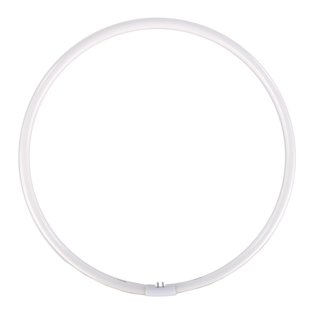 Falcon Eyes réserve lampe à tête pour FLC-65 65W