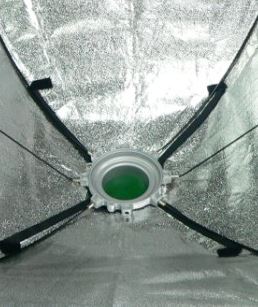 Softbox Falcon Eyes 75x150 cm + nid d'abeille SBQ-75150hc