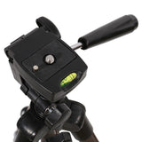 Tripod en aluminium Falcon Eyes + tête FT-1120 H110 cm