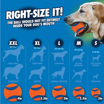 Chuckit ! ultra ball - balle pour chien - caoutchouc - flottant - taille m - 6 cm - orange - 2 pièces