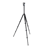 Trépied Nest wf-6627 + rotule