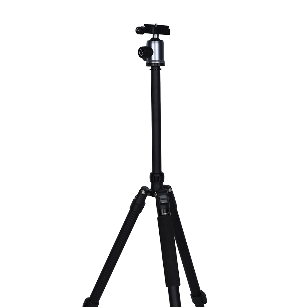 Trépied Nest wf-6627 + rotule
