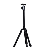 Trépied Nest wf-6627 + rotule