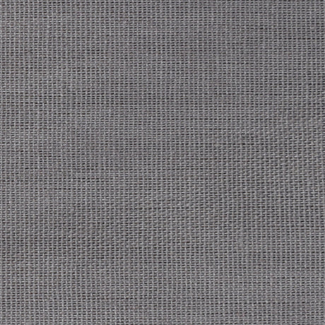 Tissu de fond des yeux faucon BCP-104 2,7x7 m gris