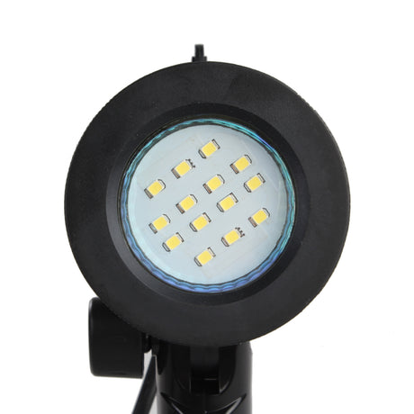 Boîte d'enregistrement pliable des yeux Falcon PBK-40AB-2LS 40x40 cm + 2 lampes