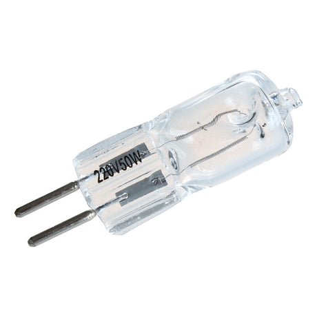 Lampe de modélisation halogène Falcon Eyes ML-50 G6.35 pour flashs SSSeries Plug-in 50W