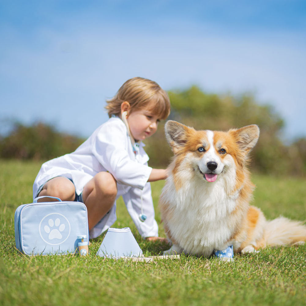 Bigjigs Animal Doctor Suitcase