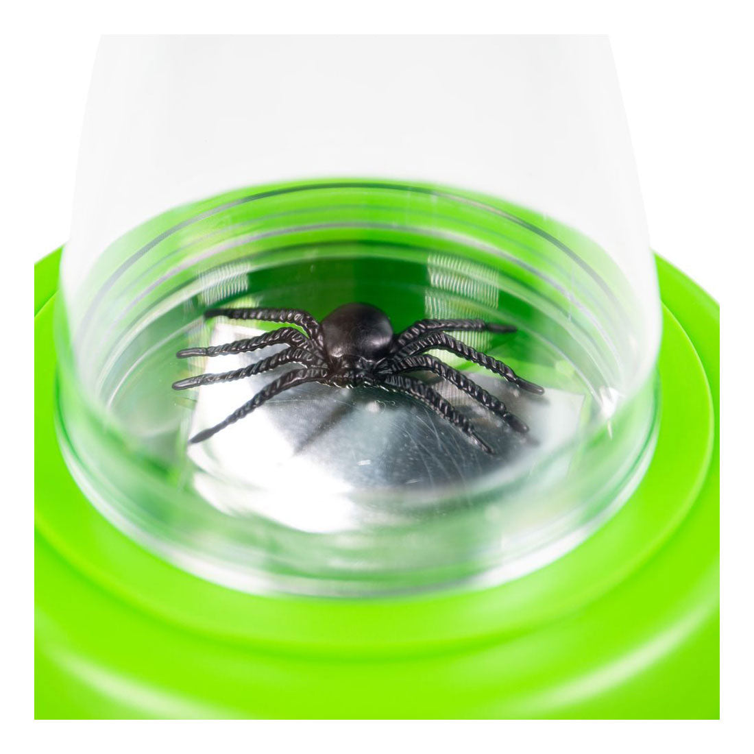 Visionneuse d'insectes multi-vues Bigjigs