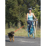 Support de vélo pour chien springer en laiton