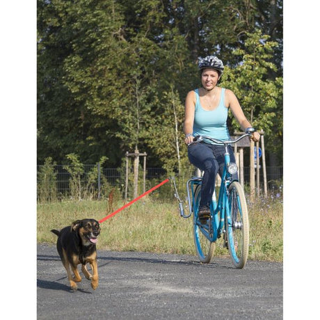 Support de vélo pour chien springer en laiton