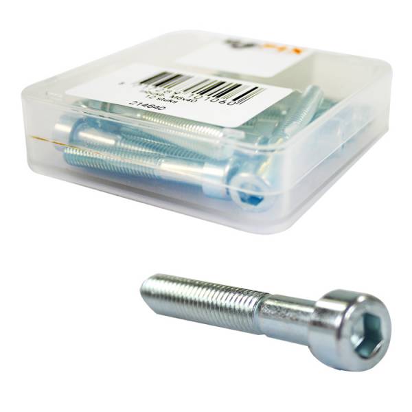 Bofix Allenbout M6 x 50 en acier inoxydable (12 pièces)