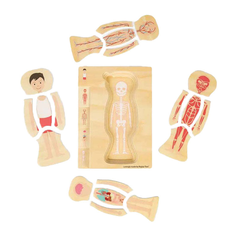 Puzzle d'anatomie en bois Bigjigs - garçon, 26 pcs.