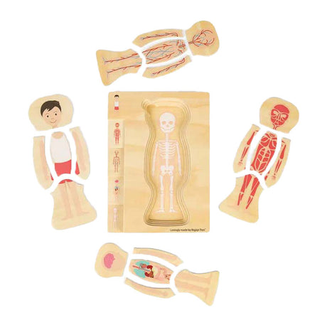 Puzzle d'anatomie en bois Bigjigs - garçon, 26 pcs.