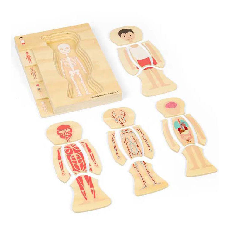 Puzzle d'anatomie en bois Bigjigs - garçon, 26 pcs.