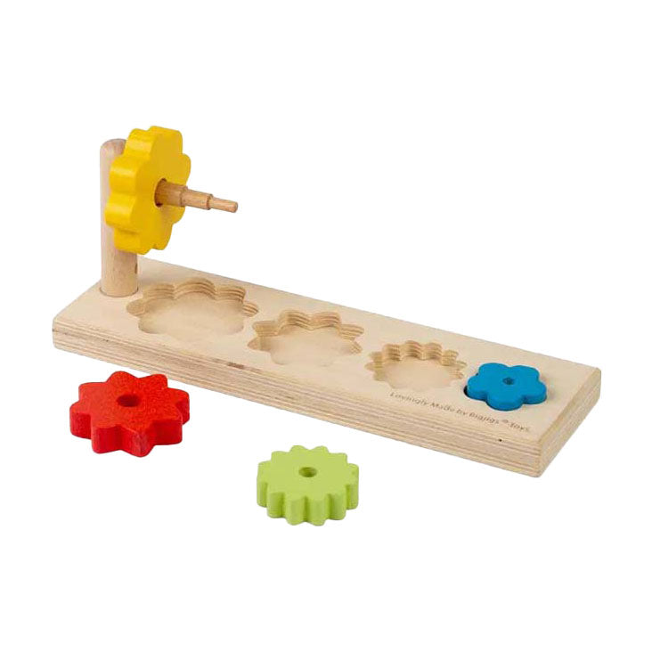Trieur de fleurs Bigjigs, 5 pcs.