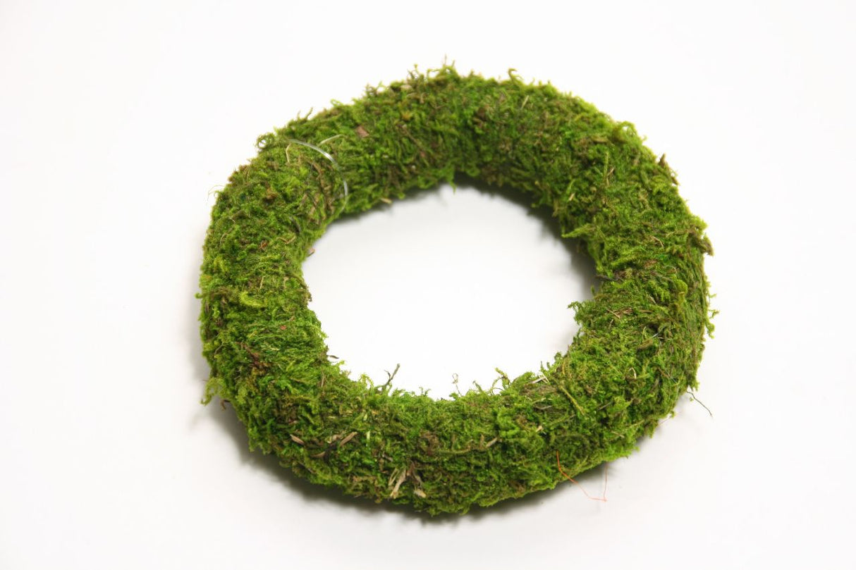 Couronne vivante naturelle HBx Mousse d'Asie ø15cm