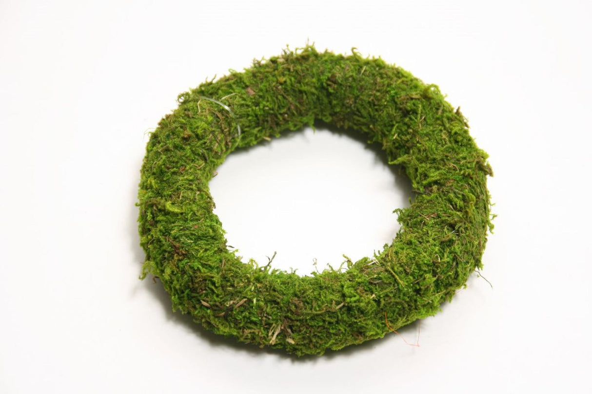 Couronne vivante naturelle HBx Mousse d'Asie ø20cm
