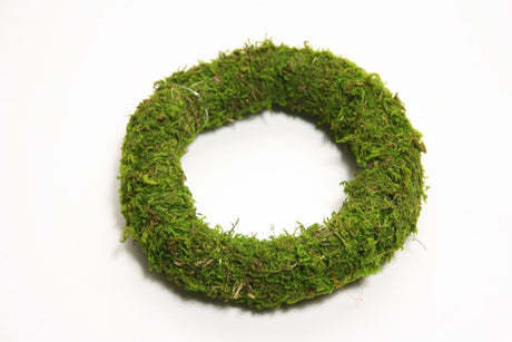 Couronne vivante naturelle HBx Mousse d'Asie ø20cm