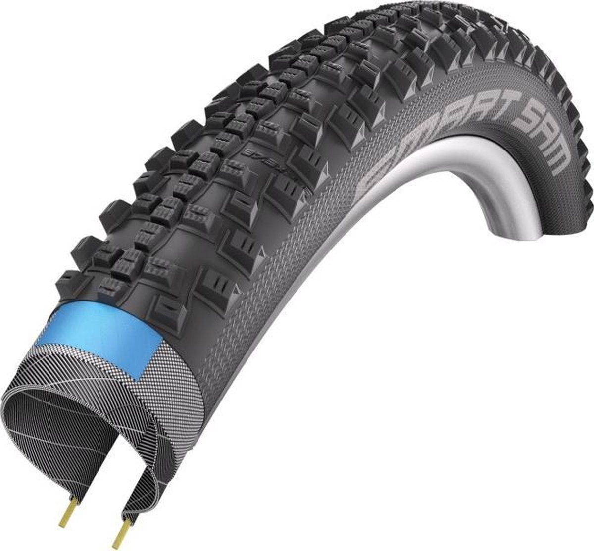 Schwalbe tire Sam Performance