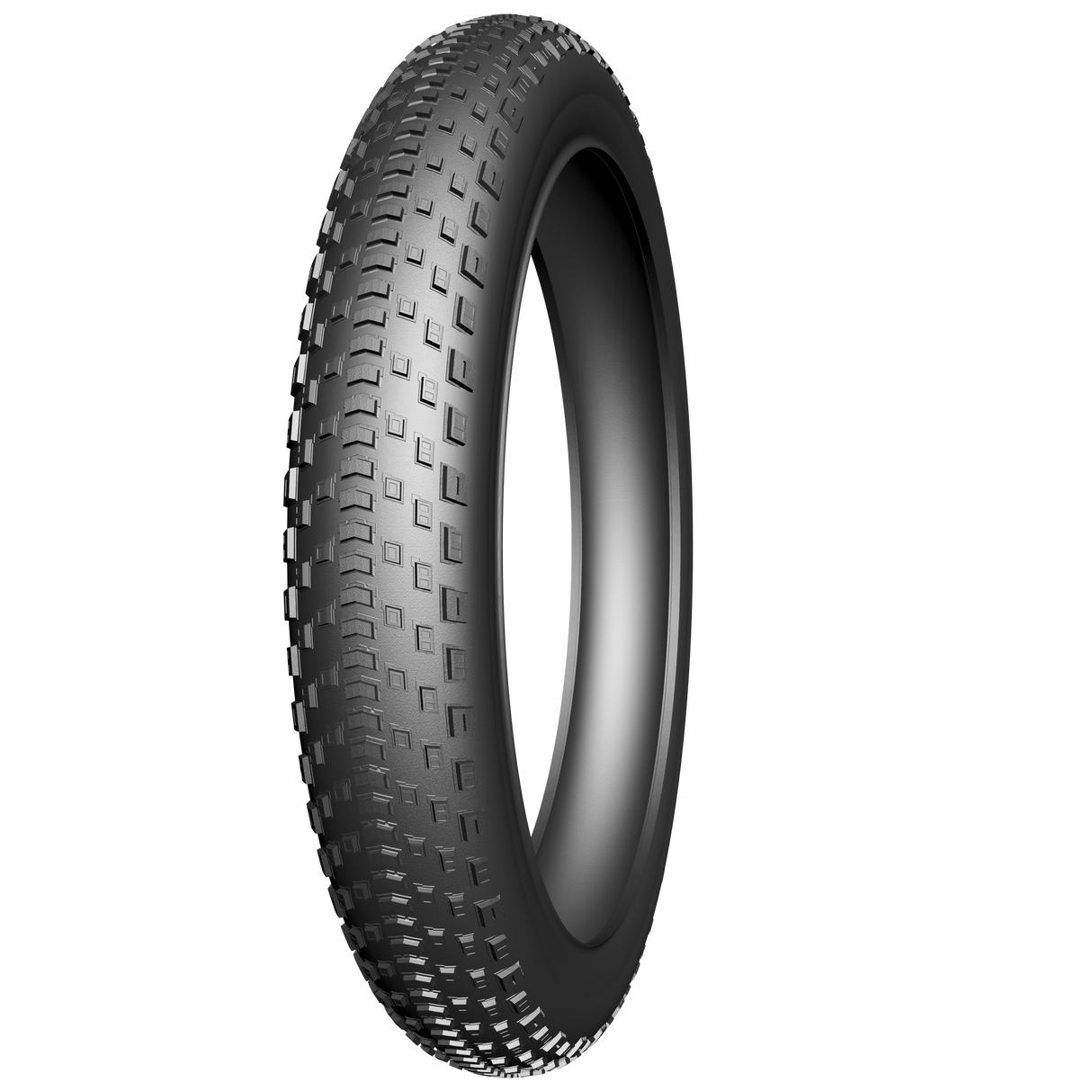 Fatbike Fatbike Fatbike de borde BST Protect 20 x 4.00 100-406 mm negro