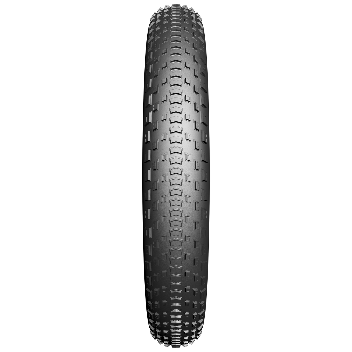 Edge Tire Fatbike Fat BST Protect 20 x 4,00 100-406 mm czarny