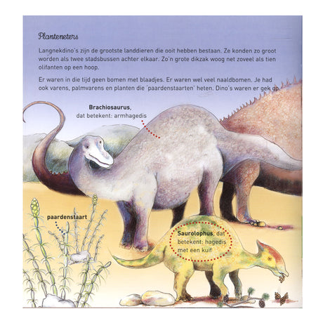 Maison centrale du livre Willewete - dinosaures