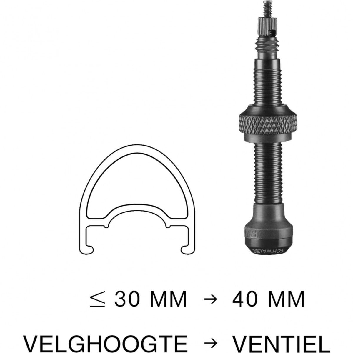 Axa Tubeless Valiel 40mm (2 pieces)