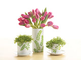 Martha Stewart • finition paillettes 6oz