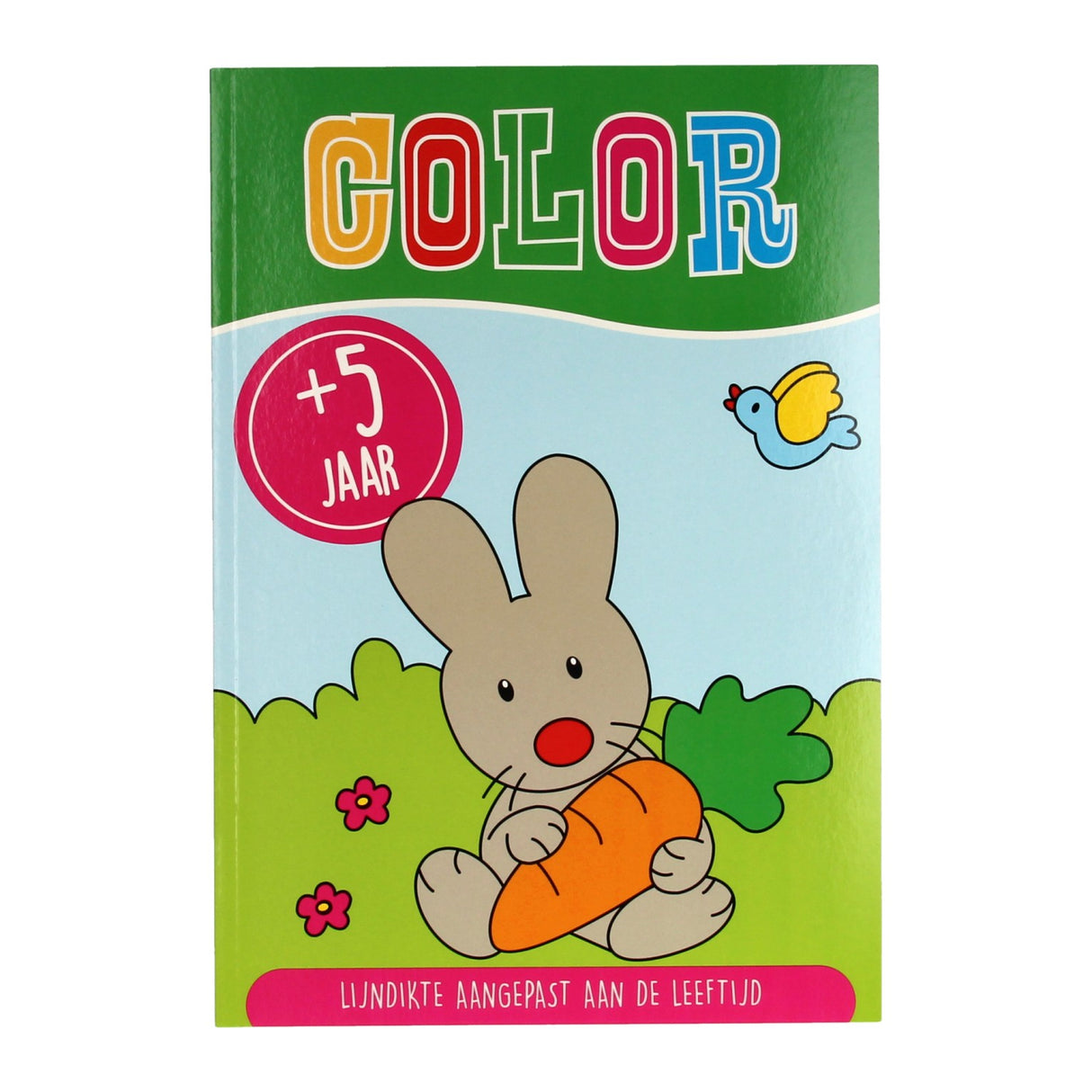 Couleur de plus de 5 ans Livre de couleurs