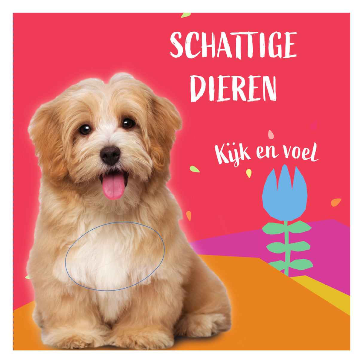 Livre tactile chien