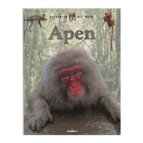 Lanterne éditeurs faune - singes