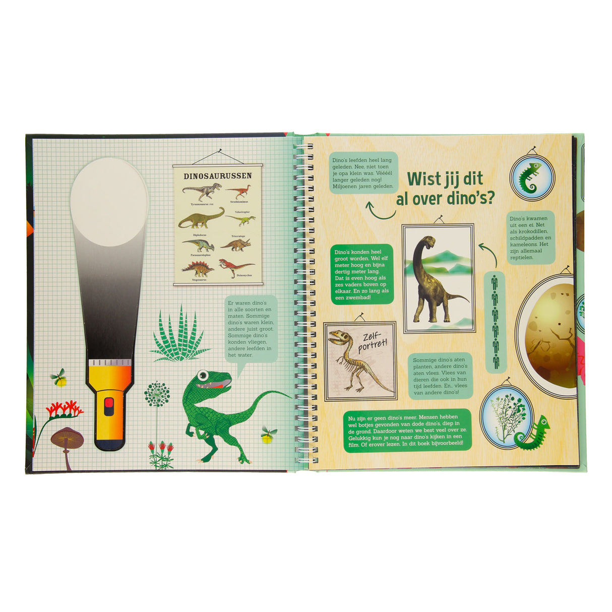 Explorer la forêt de dinosaures + lampe de poche en carton