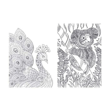 Lanterne éditeurs règne animal - livre de coloriage pour adultes