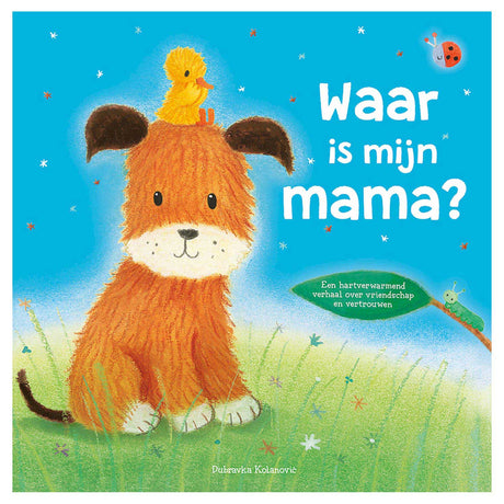 Editeurs Rebo où est ma mère ?