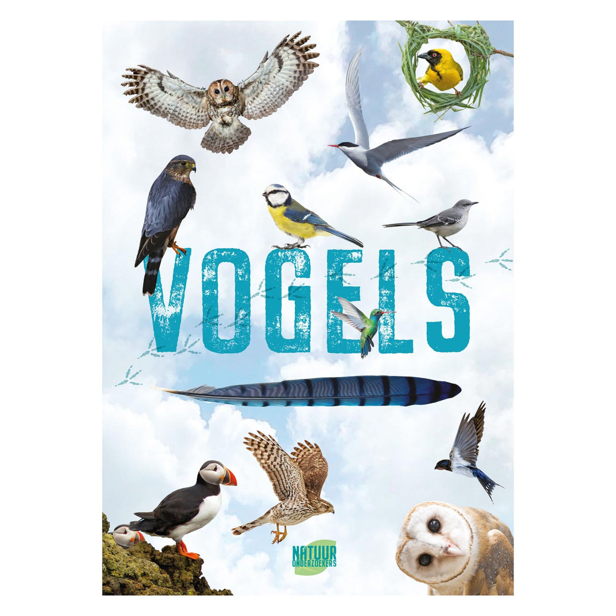 Rebo publishers vogels - gids en natuurdagboek voor kinderen