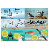 Rebo éditeurs oiseaux - guide et journal nature pour enfants