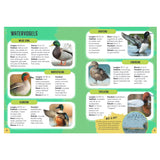Rebo éditeurs oiseaux - guide et journal nature pour enfants