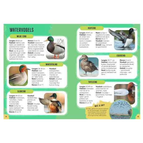 Rebo éditeurs oiseaux - guide et journal nature pour enfants