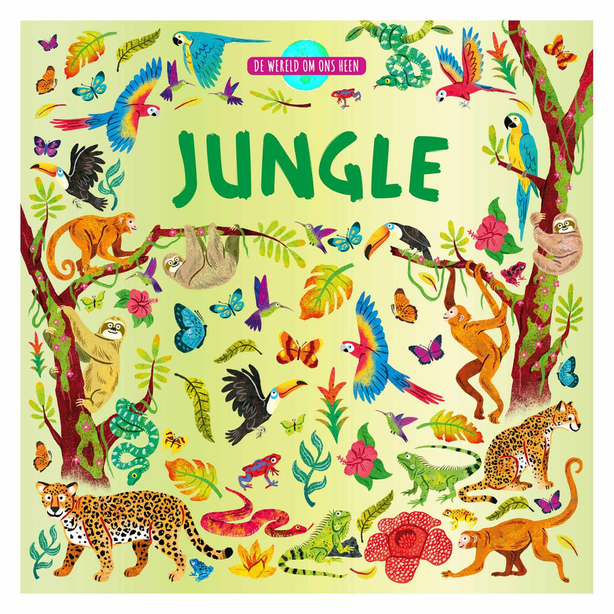 Rebo éditeurs le monde qui nous entoure - jungle