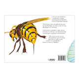 Livre des éditeurs Rebo sur les insectes, créatures terrifiantes