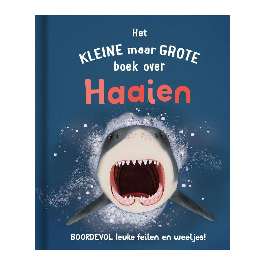 Rebo Publishers the small but large book about? shark