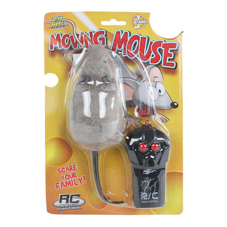 Souris Van Manen Veenendaal BV RC avec télécommande, 15 cm