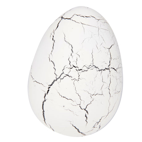 Oeuf de croissance Funtoy - dinosaure xl