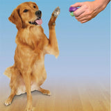 CLIK-R PETSAFE Clicker pour la formation