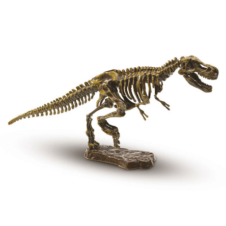 Ses séances créatives déterrent le T-Rex